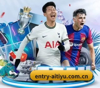 entry-aitiyu.com.cn的方向